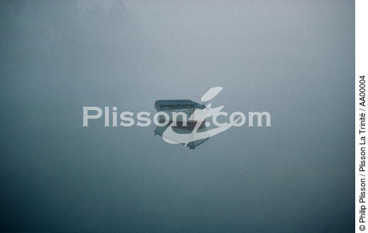 Petit matin. Plate dans le Golfe du Morbihan par petit matin brumeux. - © Philip Plisson / Plisson La Trinité / AA00004 - Photo Galleries - Mist