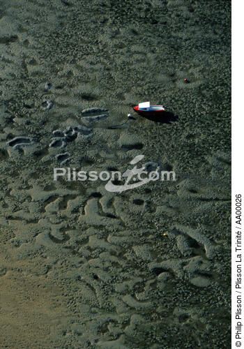 Un bateau rouge posé sur le sable dans l'embouchure de la Vilaine. - © Philip Plisson / Plisson La Trinité / AA00026 - Photo Galleries - Coastal landscape