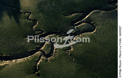 Lorsque la mer se retire à Saint-Philibert. - © Philip Plisson / Plisson La Trinité / AA00027 - Nos reportages photos - Saint-Philibert