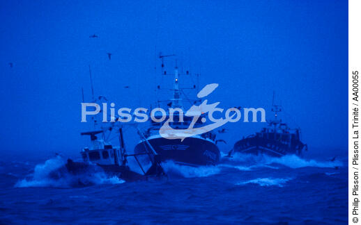 Retour de pêche au Guilvinec (Finistère, 29) - © Philip Plisson / Plisson La Trinité / AA00055 - Photo Galleries - Fishing vessel