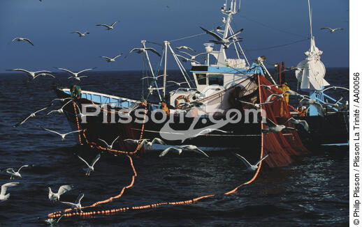 Pêche à la sardine. - © Philip Plisson / Plisson La Trinité / AA00056 - Nos reportages photos - Pêcheur