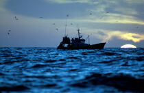 bateau de pêche du Guivinec (Finistère, 29) © Philip Plisson / Plisson La Trinité / AA00057 - Nos reportages photos - Pêche