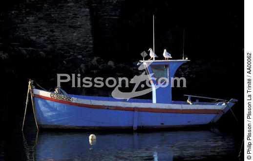 Petit canot de pêche au mouillage à Doëlan sur mer (Finsitère, 29) - © Philip Plisson / Plisson La Trinité / AA00062 - Nos reportages photos - Faune et Flore