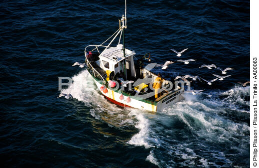 Louarn Ar Mor de Brest (Finistère, 29) - © Philip Plisson / Plisson La Trinité / AA00063 - Photo Galleries - Trawler