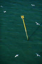 Perche dans l'embouchure de la Vilaine. © Philip Plisson / Plisson La Trinité / AA00068 - Nos reportages photos - Signalisation maritime