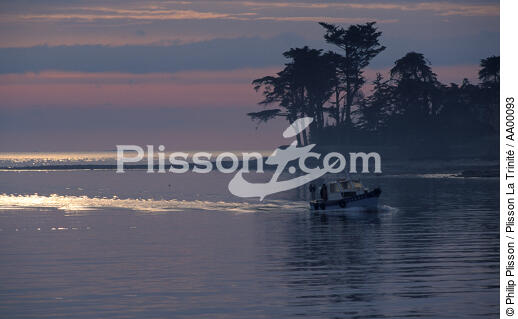 Retour d'un petit bateau de pêche à Loctudy (Finistère, 29). - © Philip Plisson / Plisson La Trinité / AA00093 - Photo Galleries - Fishing
