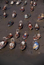 Des bateaux de pêche échoués à marée basse à Erquy. © Philip Plisson / Pêcheur d’Images / AA00101 - Photo Galleries - Lobster pot fishing boat