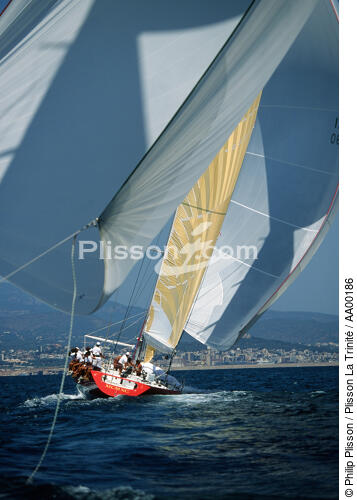 Le Course Maxi toutes voiles dehors. - © Philip Plisson / Plisson La Trinité / AA00186 - Photo Galleries - Sailing boat