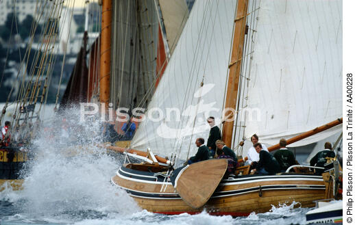 Livarde néerlandaise pendant Brest 92. - © Philip Plisson / Plisson La Trinité / AA00228 - Nos reportages photos - Personnage