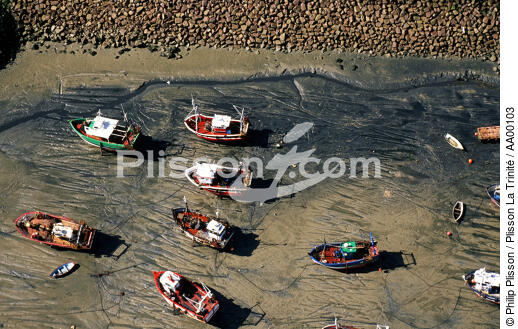 Des bateaux de pêches posés sur le sable le long de la grêve. - © Philip Plisson / Plisson La Trinité / AA00103 - Nos reportages photos - Ville [22]