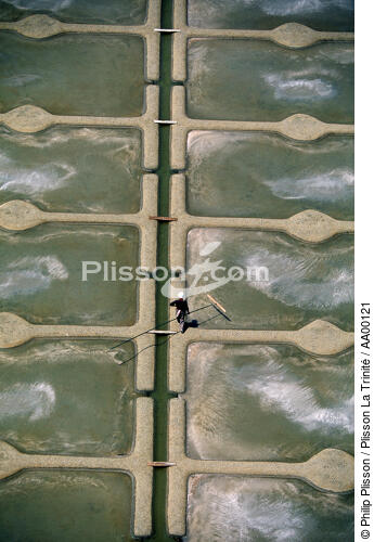 Marais salants de Guérande. - © Philip Plisson / Plisson La Trinité / AA00121 - Photo Galleries - Geomorphology