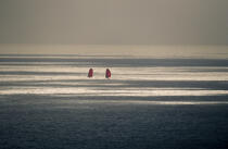 Deux Class America entre ombre et lumière. © Philip Plisson / Plisson La Trinité / AA00131 - Photo Galleries - Sailing boat