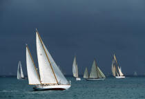 Flotte de voiliers à la Nioulargue . © Philip Plisson / Plisson La Trinité / AA00155 - Photo Galleries - Racing