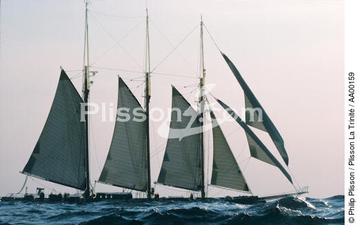 Le Shenandoah en contre jour . - © Philip Plisson / Plisson La Trinité / AA00159 - Photo Galleries - Three masts