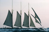 Le Shenandoah en contre jour . © Philip Plisson / Plisson La Trinité / AA00159 - Photo Galleries - Tall ship / Sailing ship