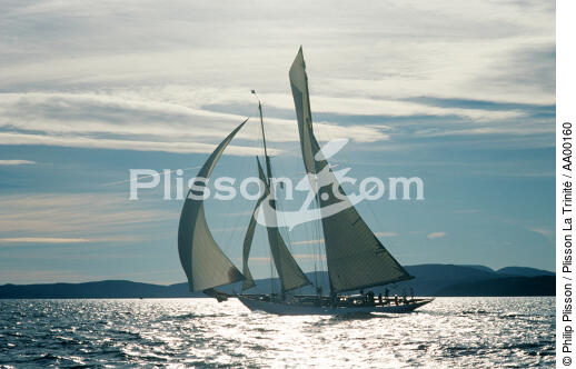 Nioulargue - © Philip Plisson / Plisson La Trinité / AA00160 - Photo Galleries - Classic Yachting