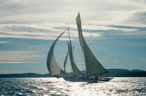 Nioulargue © Philip Plisson / Plisson La Trinité / AA00160 - Photo Galleries - Sailing boat