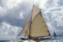 Tuiga à la Nioulargue . © Philip Plisson / Plisson La Trinité / AA00162 - Photo Galleries - Sailing boat