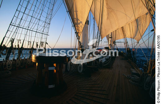 HMS Rose, navire école. - © Philip Plisson / Plisson La Trinité / AA00195 - Photo Galleries - Three masts