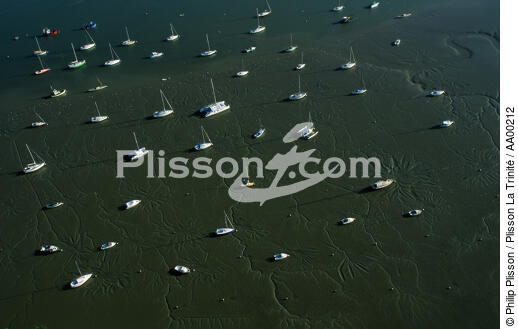 Mouillage dans l'embouchure de la Vilaine. - © Philip Plisson / Plisson La Trinité / AA00212 - Nos reportages photos - Vase