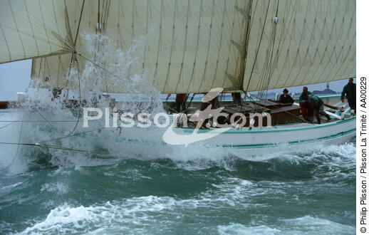 La Granvillaise. - © Philip Plisson / Plisson La Trinité / AA00229 - Photo Galleries - Traditional sailing
