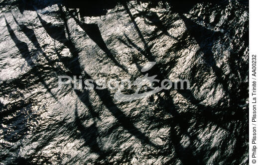 Ombres des voiles du Belem dans l'eau. - © Philip Plisson / Plisson La Trinité / AA00232 - Nos reportages photos - Voilier