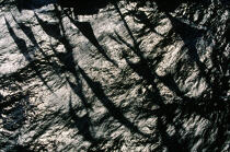 Ombres des voiles du Belem dans l'eau. © Philip Plisson / Plisson La Trinité / AA00232 - Photo Galleries - Belem [The]
