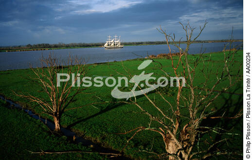 Le Belem sur la Loire. - © Philip Plisson / Plisson La Trinité / AA00234 - Nos reportages photos - Grand voilier
