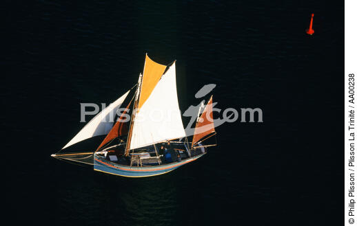 Langoustier rentrant au port en fin de journée. - © Philip Plisson / Plisson La Trinité / AA00238 - Photo Galleries - Traditional sailing