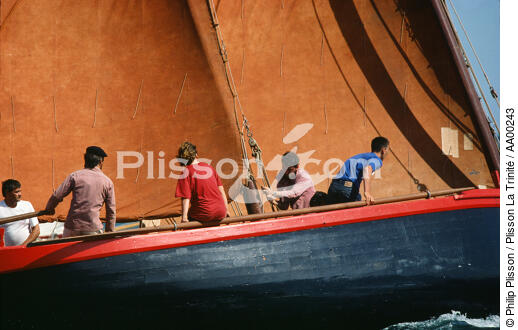 Sinago et son équipage dans le Golfe du Morbihan. - © Philip Plisson / Plisson La Trinité / AA00243 - Photo Galleries - Sailing boat