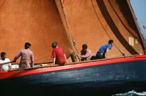 Sinago et son équipage dans le Golfe du Morbihan. © Philip Plisson / Plisson La Trinité / AA00243 - Photo Galleries - People