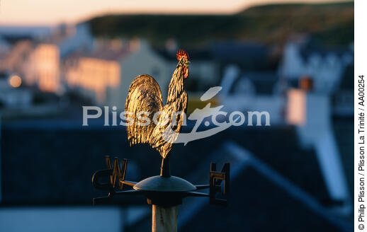 Girouette représentant un coq (Ecosse), - © Philip Plisson / Plisson La Trinité / AA00254 - Nos reportages photos - Vue non aérienne