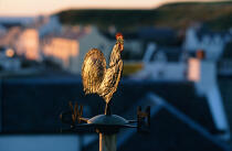 Girouette représentant un coq (Ecosse), © Philip Plisson / Plisson La Trinité / AA00254 - Photo Galleries - Town [Scot]