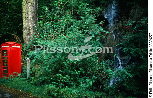 Cabine téléphonique en lisière de forêt (Ecosse). - © Philip Plisson / Plisson La Trinité / AA00272 - Nos reportages photos - Faune et Flore