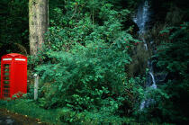 Cabine téléphonique en lisière de forêt (Ecosse). © Philip Plisson / Plisson La Trinité / AA00272 - Photo Galleries - Island [Scot]
