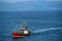 Chalutier rouge © Guillaume Plisson / Plisson La Trinité / AA00283 - Nos reportages photos - Type de pêche
