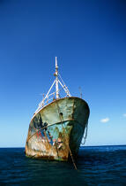 Epave d'un cargo échoué sur l'île de la Dominique. © Guillaume Plisson / Plisson La Trinité / AA00323 - Nos reportages photos - Antilles [Les]
