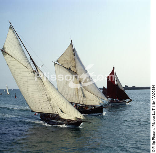 Pen Duick I pendant la fête des Vieux Gréements à la Trinité sur mer. - © Philip Plisson / Plisson La Trinité / AA00384 - Photo Galleries - Square format