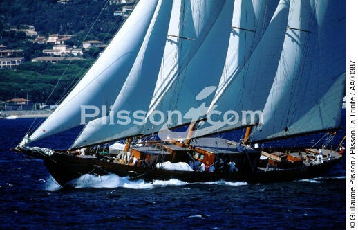 Créole aux Voiles de St Tropez - © Guillaume Plisson / Plisson La Trinité / AA00387 - Photo Galleries - Tall ship / Sailing ship