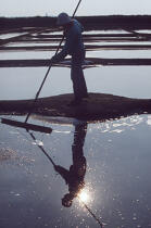 Paludier ramassant le sel. © Philip Plisson / Plisson La Trinité / AA00422 - Nos reportages photos - Vertical