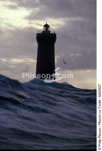 Tapi derrière un rocher, face au phare du Four, j'ai vu déferler cette vague de 15 mètre de haut dont le fou de Bassan semblait se griser. - © Philip Plisson / Plisson La Trinité / AA00427 - Nos reportages photos - Oiseau marin