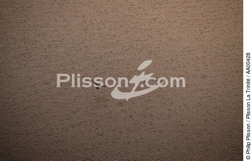 Cormoran en vol libre. - © Philip Plisson / Plisson La Trinité / AA00428 - Nos reportages photos - Vue aérienne
