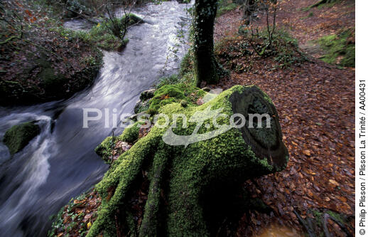 Cascade dans la forêt de Huelgoat. - © Philip Plisson / Plisson La Trinité / AA00431 - Photo Galleries - Finistère