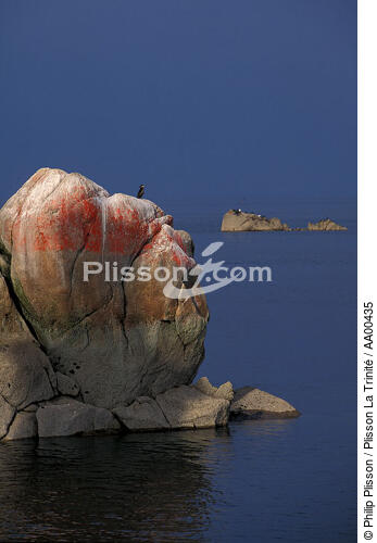Amer à la pointe de Roscoff. - © Philip Plisson / Plisson La Trinité / AA00435 - Photo Galleries - Coastal landscape