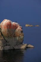 Amer à la pointe de Roscoff. © Philip Plisson / Plisson La Trinité / AA00435 - Nos reportages photos - Paysage littoral