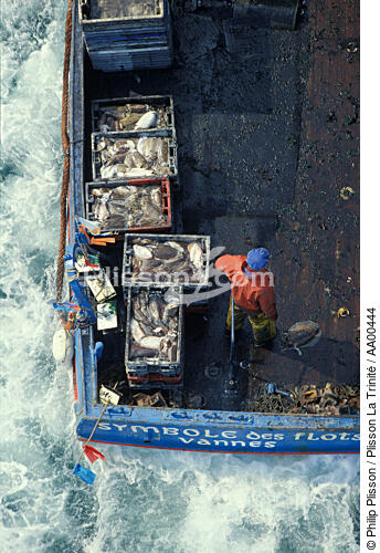 Pecheur de morgates . - © Philip Plisson / Plisson La Trinité / AA00444 - Photo Galleries - Morbihan [The gulf of the]