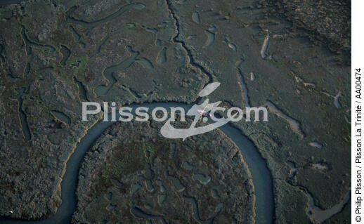 Canot dans les méandres du Léty. - © Philip Plisson / Plisson La Trinité / AA00474 - Photo Galleries - Hydrology