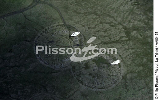 Empreintes sur le Golfe du Morbihan. - © Philip Plisson / Plisson La Trinité / AA00475 - Nos reportages photos - Site [56]