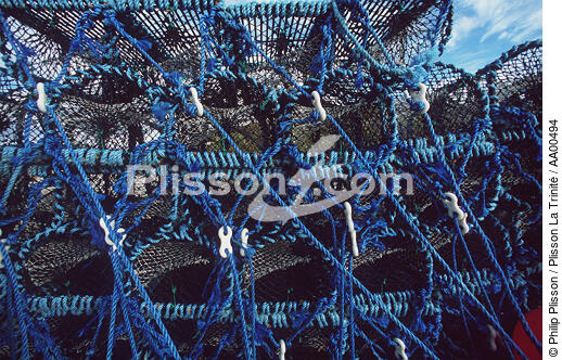 casiers à crustacés. - © Philip Plisson / Plisson La Trinité / AA00494 - Photo Galleries - Scotland