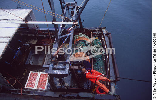 Dans le port de Collieston en Ecosse. - © Philip Plisson / Plisson La Trinité / AA00496 - Nos reportages photos - Materiel de pêche